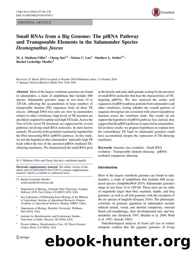 Small RNAs from a Big Genome: The piRNA Pathway and Transposable Elements in the Salamander Species Desmognathus fuscus by M. J. Madison-Villar & Cheng Sun & Nelson C. Lau & Matthew L. Settles & Rachel Lockridge Mueller