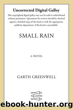 Small Rain by Greenwell Garth