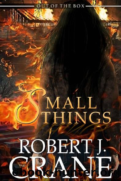 Small Things by Robert J Crane