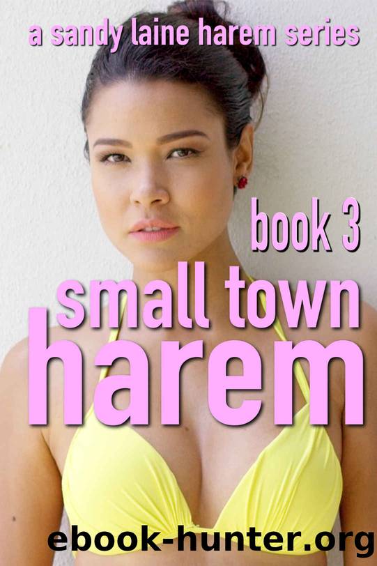 Small Town Harem Book 3: Stirring MFFF erotica by Unknown