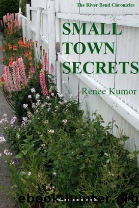 Small Town Secrets by Renee Kumor