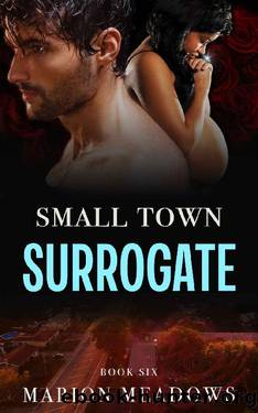 Small Town Surrogate (Sins of the South Book 6) by Marion Meadows