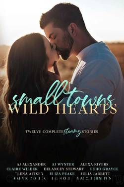 Small Towns, Wild Hearts: Twelve Complete Stories by unknow