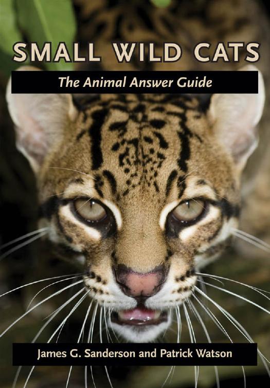 Small Wild Cats: The Animal Answer Guide by James G. Sanderson & Patrick Watson
