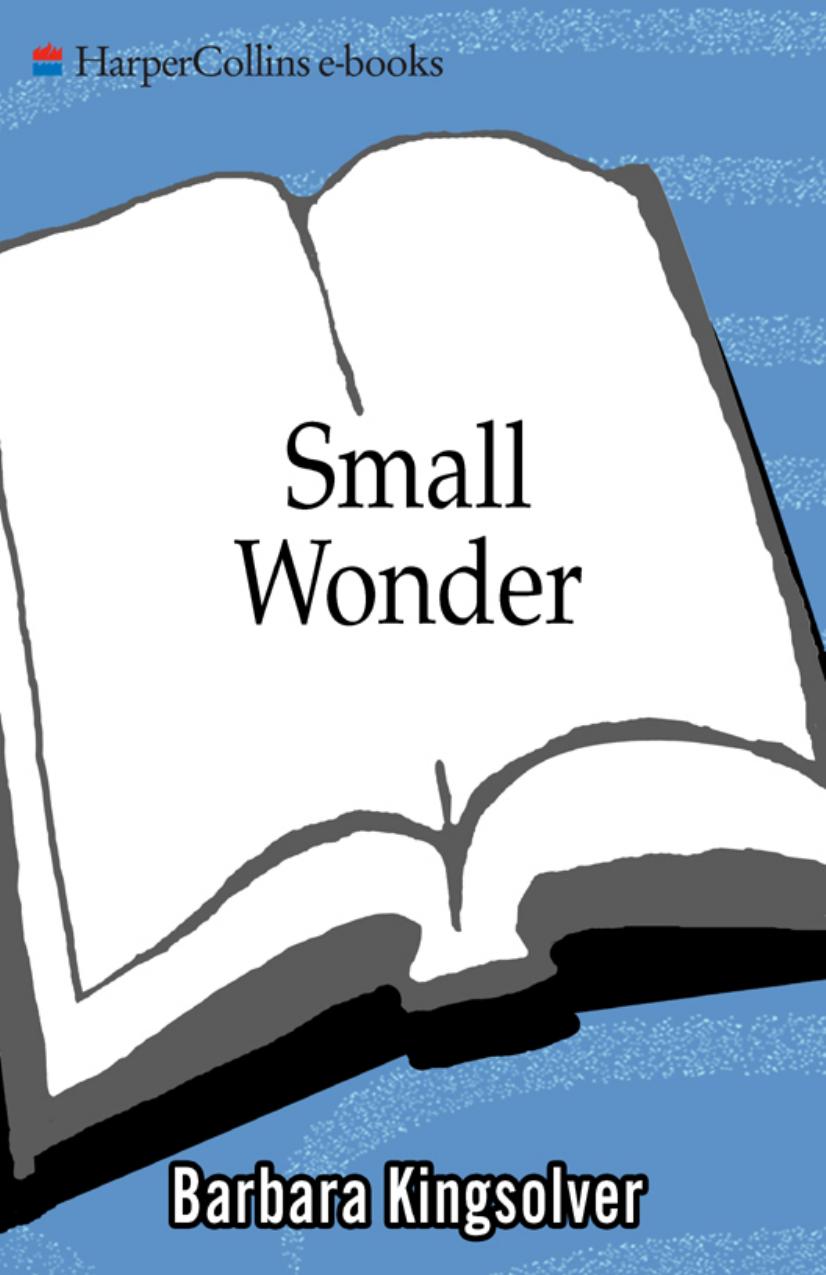 Small Wonder: Essays by Barbara Kingsolver