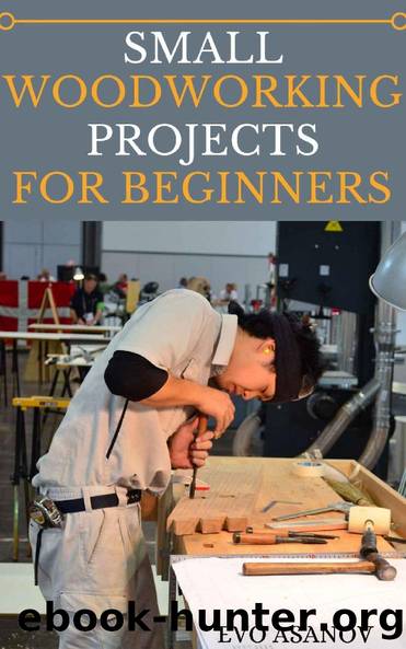 Small Woodworking Projects for Biginners: Building Small Projects by Evo Asanov