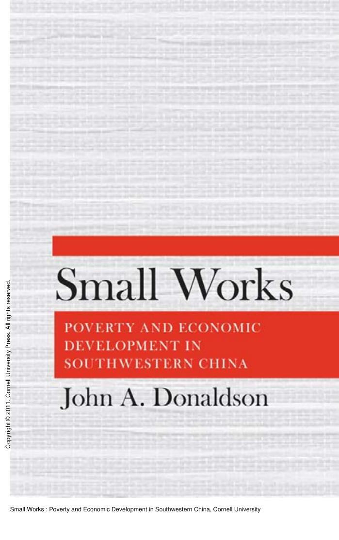 Small Works : Poverty and Economic Development in Southwestern China by John A. Donaldson