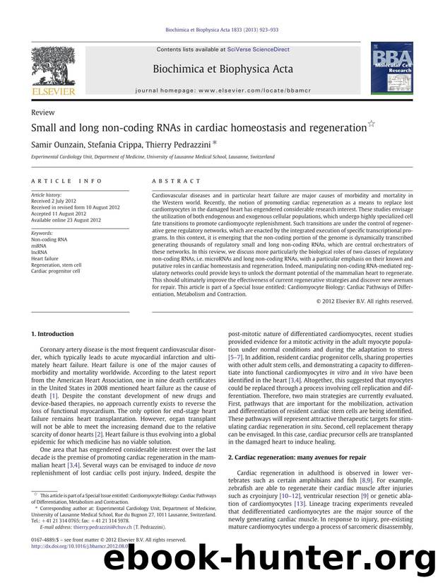 Small and long non-coding RNAs in cardiac homeostasis and regeneration by Samir Ounzain & Stefania Crippa & Thierry Pedrazzini
