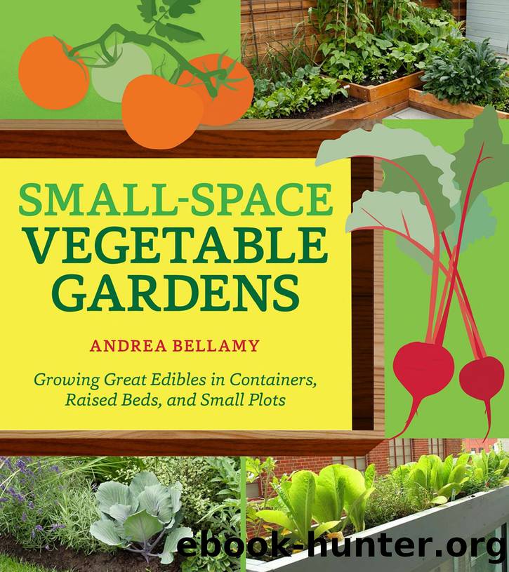 Small-Space Vegetable Gardens: Growing Great Edibles in Containers, Raised Beds, and Small Plots by Andrea Bellamy