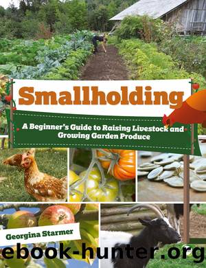 Smallholding by Georgina Starmer