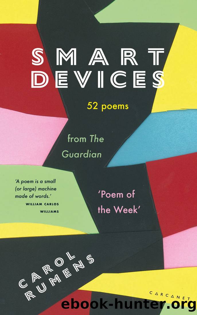Smart Devices by Rumens Carol;