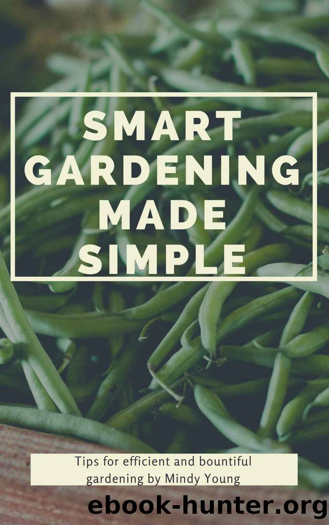 Smart Gardening Made Simple: A Simple Guide to Smart and Abundant Gardening by Young Mindy