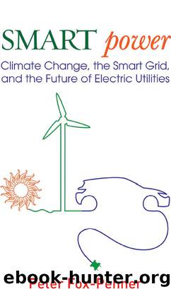Smart Power by Peter Fox-Penner