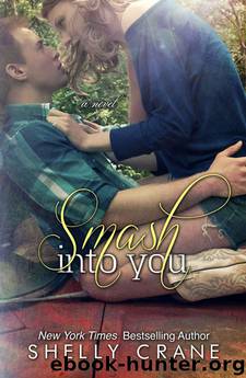 Smash Into You by Crane Shelly