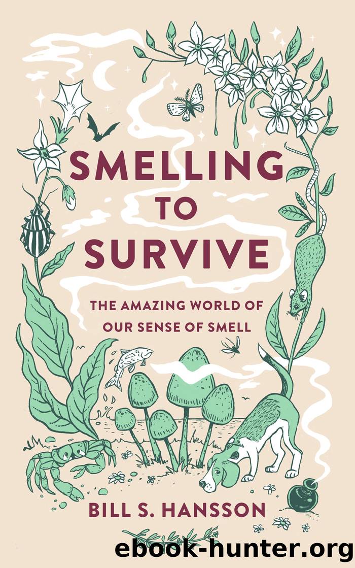 Smelling to Survive by Bill S. Hansson