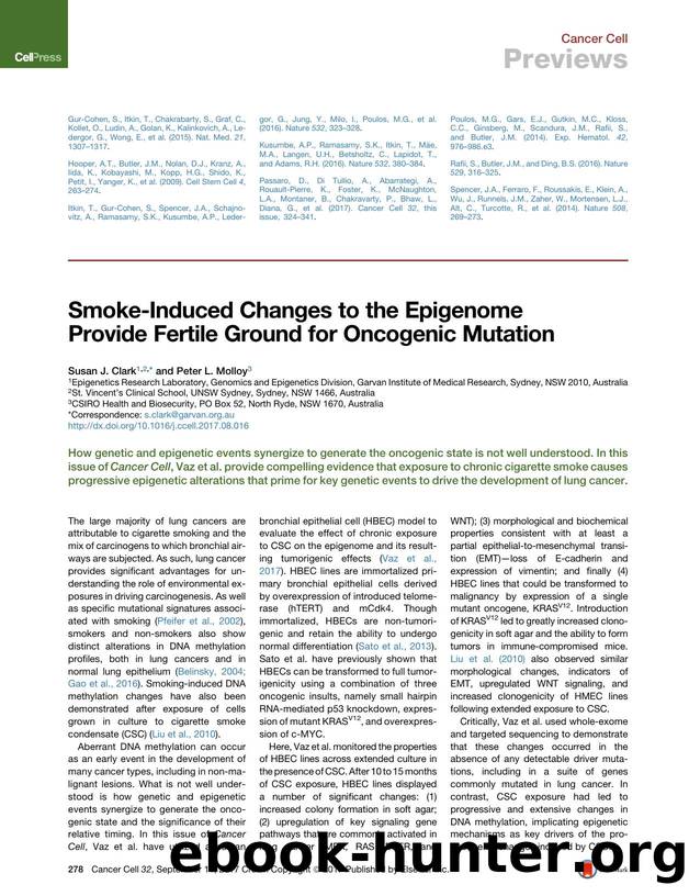 Smoke-Induced Changes to the Epigenome Provide Fertile Ground for Oncogenic Mutation by Susan J. Clark & Peter L. Molloy