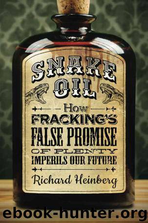 Snake Oil by Richard Heinberg