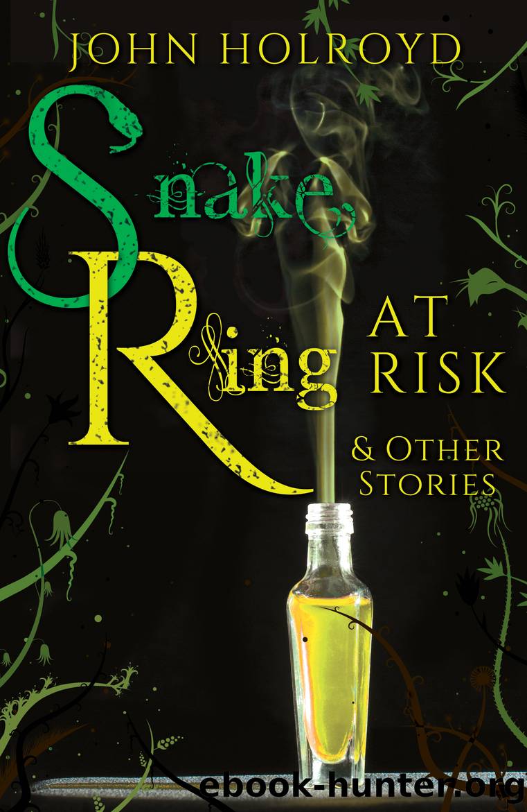 Snake Ring at Risk & Other Stories by John Holroyd