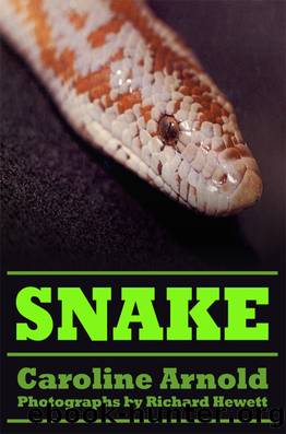 Snake by Caroline Arnold