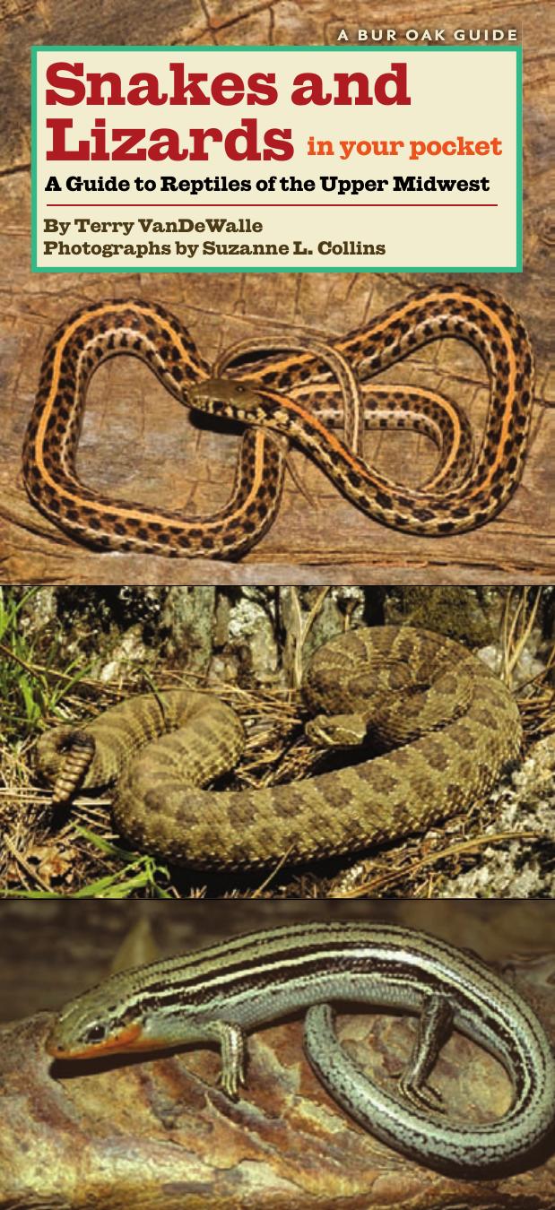 Snakes and Lizards in Your Pocket: A Guide to Reptiles of the Upper Midwest (Bur Oak Guide) by Terry VanDeWalle