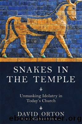Snakes in the Temple by David Orton
