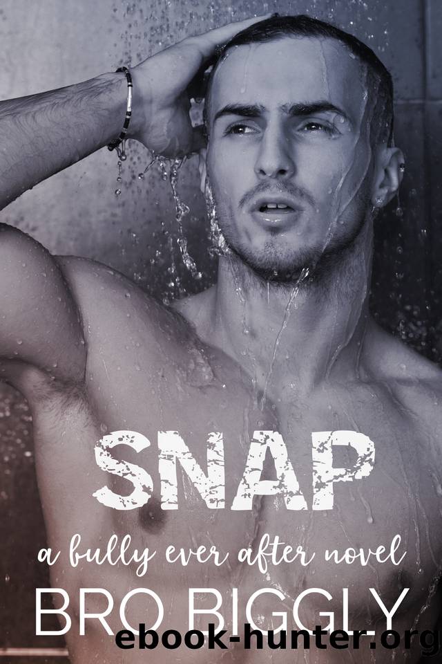 Snap: A Bully Ever After Novel by Bro Biggly