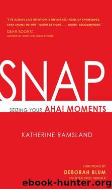Snap: Seizing Your Aha! Moments by Ramsland Katherine