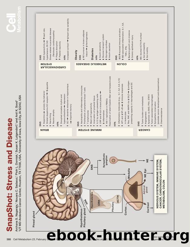 SnapShot: Stress and Disease by Archana S. Nagaraja & Nouara C. Sadaoui & Piotr L. Dorniak & Susan K. Lutgendorf & Anil K. Sood