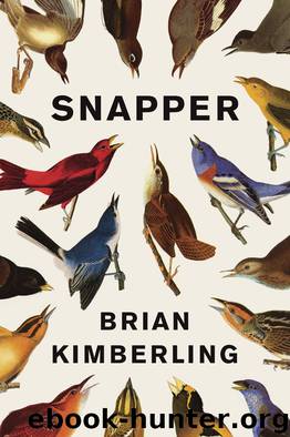 Snapper by Brian Kimberling