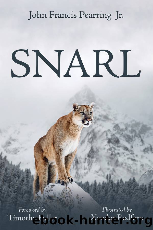 Snarl by John Francis Pearring Jr