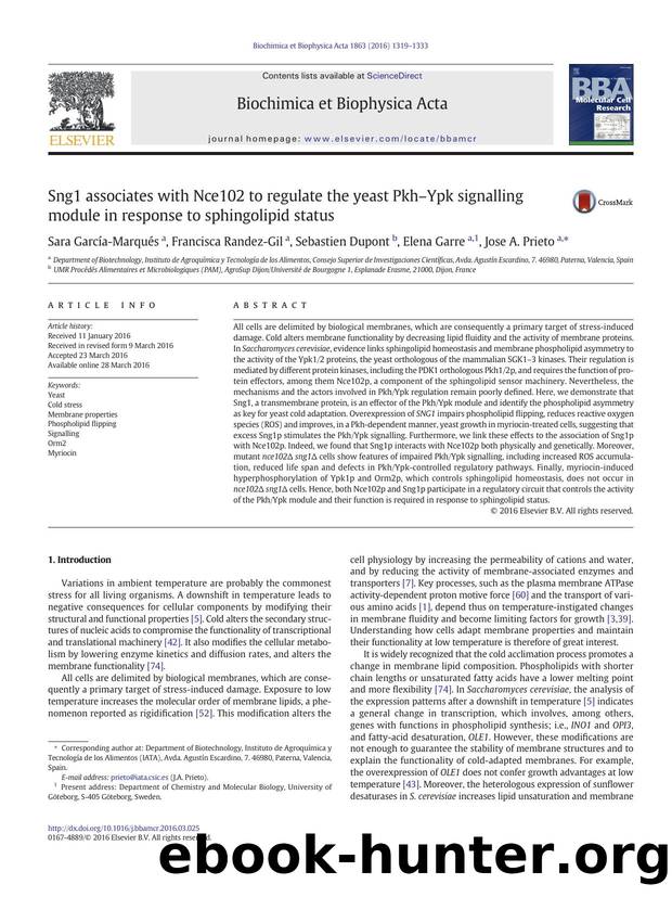 Sng1 associates with Nce102 to regulate the yeast PkhâYpk signalling module in response to sphingolipid status by Sara García-Marqués & Francisca Randez-Gil & Sebastien Dupont & Elena Garre & Jose A. Prieto