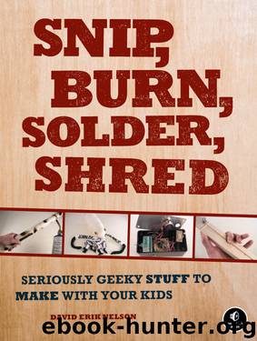Snip, Burn, Solder, Shred by David Erik Nelson