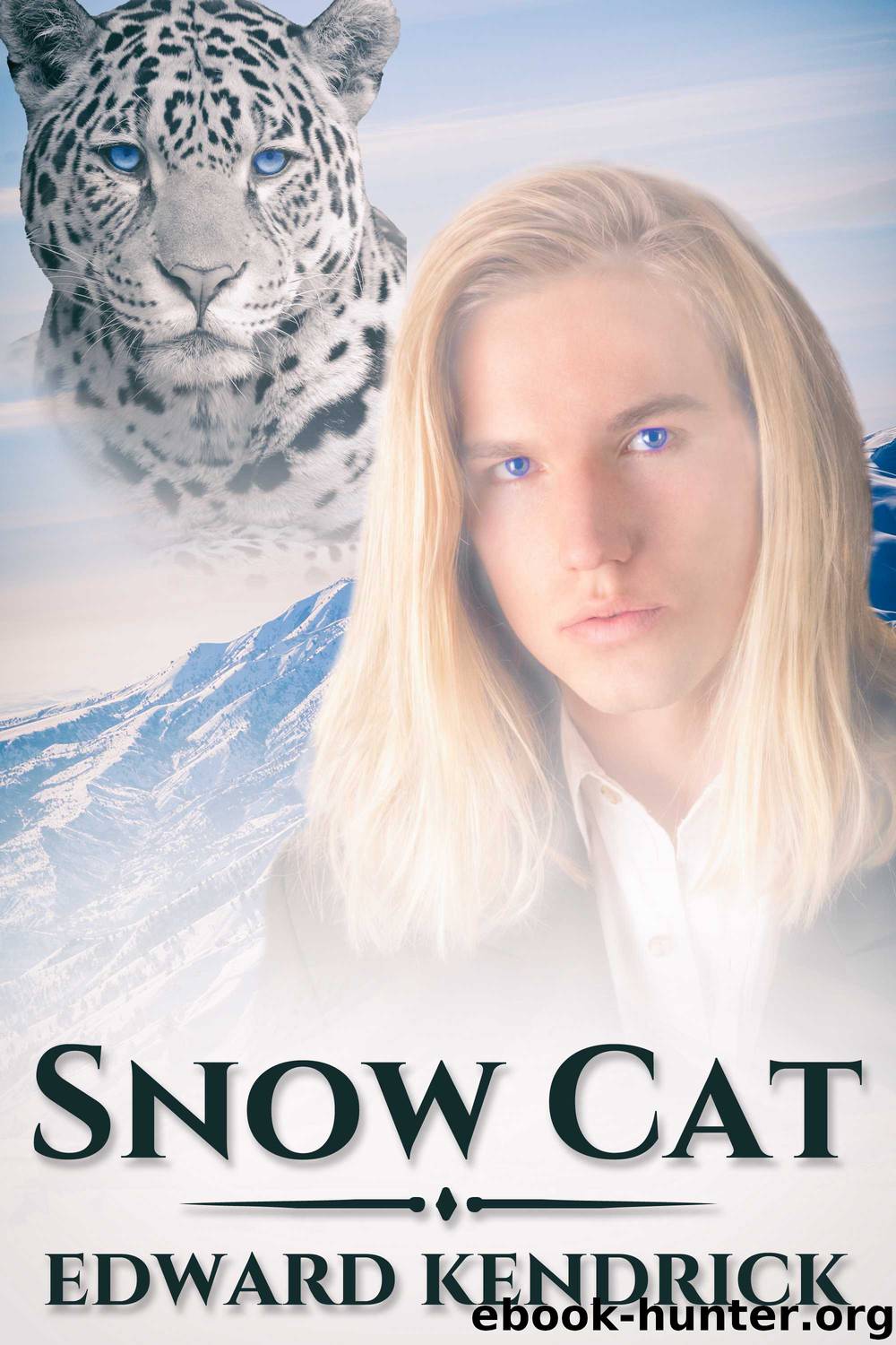 Snow Cat by Edward Kendrick