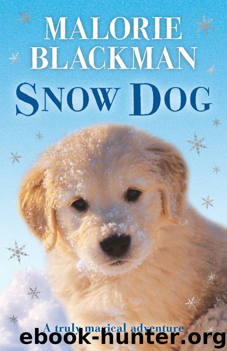 Snow Dog by Malorie Blackman