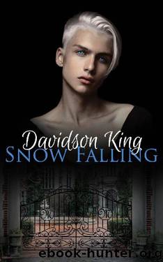 Snow Falling by Davidson King