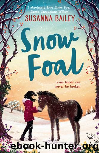 Snow Foal by Susanna Bailey
