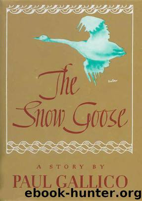 Snow Goose by Paul Gallico & Angela Barrett