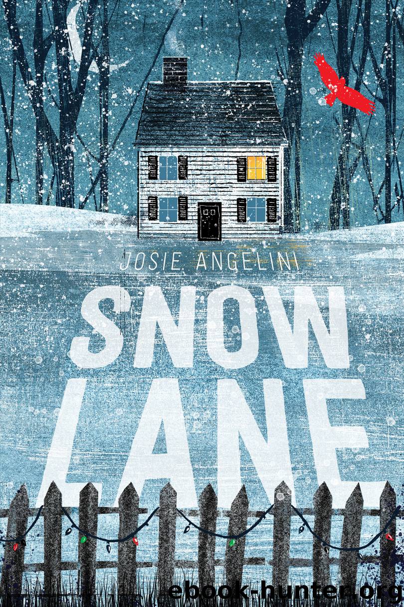 Snow Lane by Josie Angelini