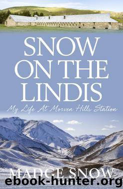 Snow On the Lindis by Bee Dawson