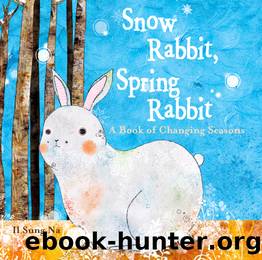 Snow Rabbit, Spring Rabbit by Il Sung Na