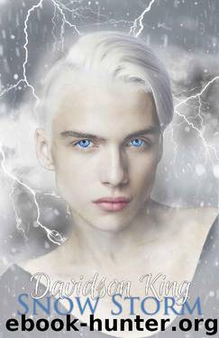 Snow Storm (Haven Hart Book 5) by Davidson King
