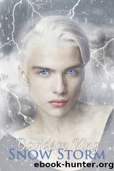 Snow Storm by Davidson King