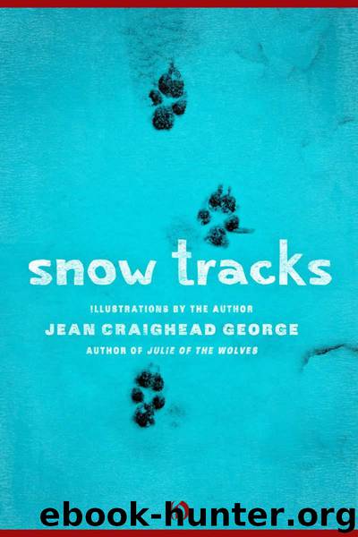 Snow Tracks by Jean Craighead George