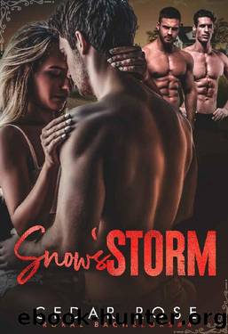 Snow's Storm: Rural Bachelors Book 4 by Cedar Rose & Marybeth Higgins
