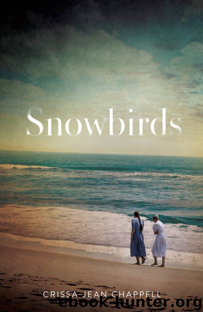 Snowbirds by Crissa Chappell