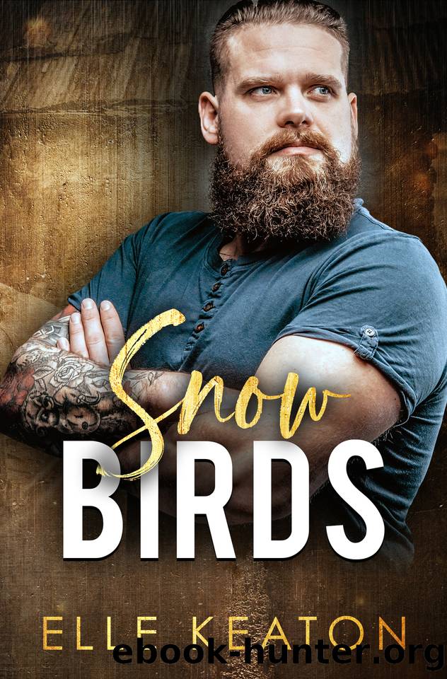 Snowbirds: A Reclaimed Hearts Novella by Elle Keaton