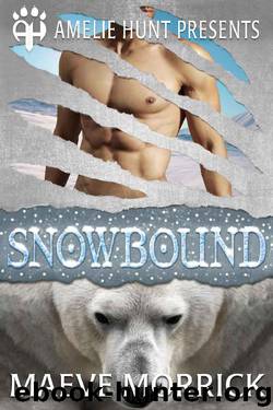 Snowbound (Arctic Station Bears Book 1) by Maeve Morrick & Amelie Hunt