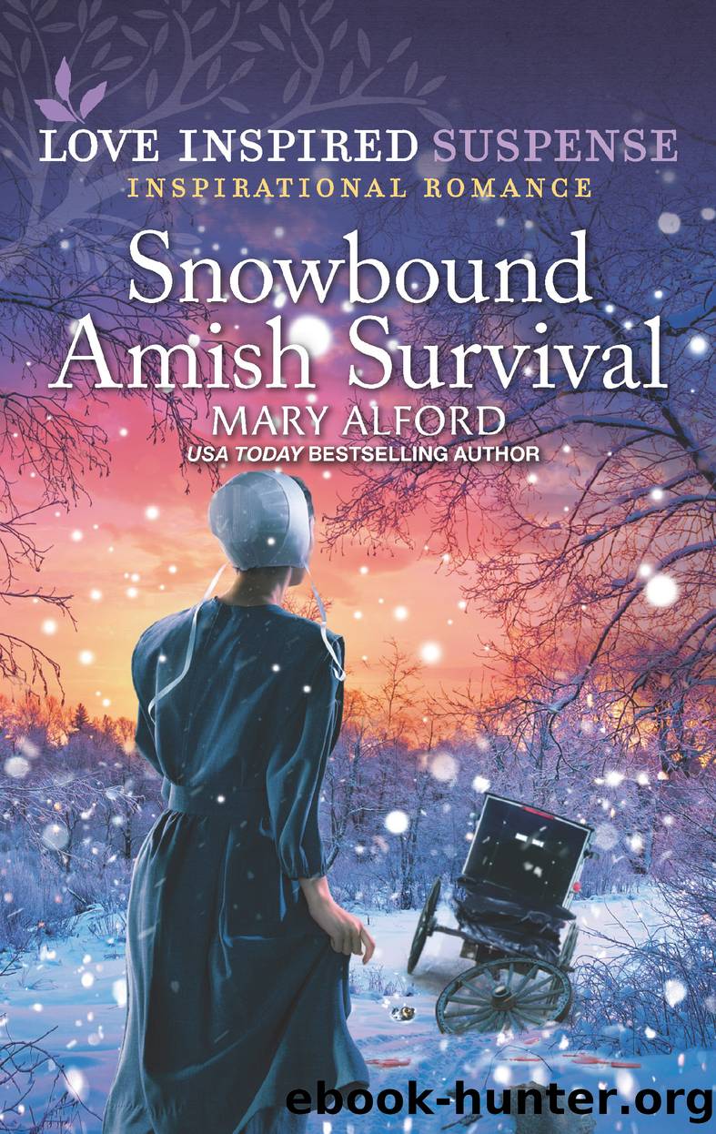 Snowbound Amish Survival by Mary Alford