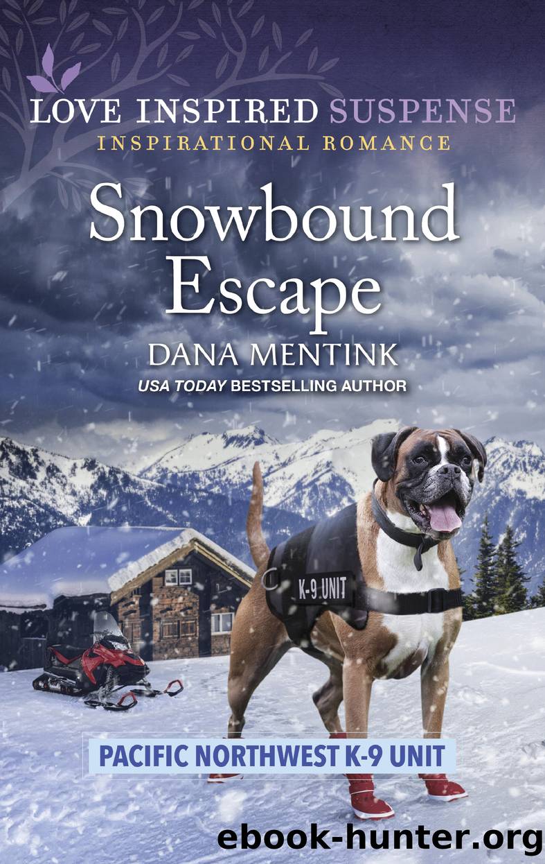 Snowbound Escape by Dana Mentink