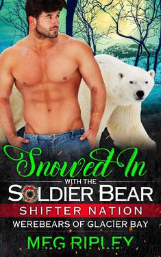 Snowed In With The Soldier Bear (Shifter Nation: Werebears Of Glacier Bay) by Meg Ripley
